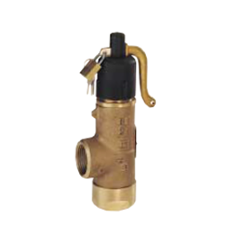 SIKK.VENTIL FIG. 707 41 ML BSP 1 1/4"