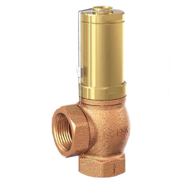 *617TGFO-DN32-BSP F/F PTFE PRESSURE RELIEF VALVE
