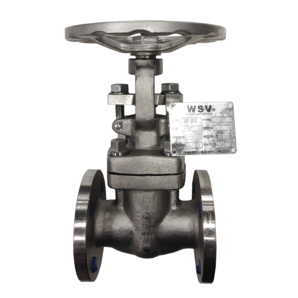 *GATE VALVE 1" GT039 TITAN Gr 2