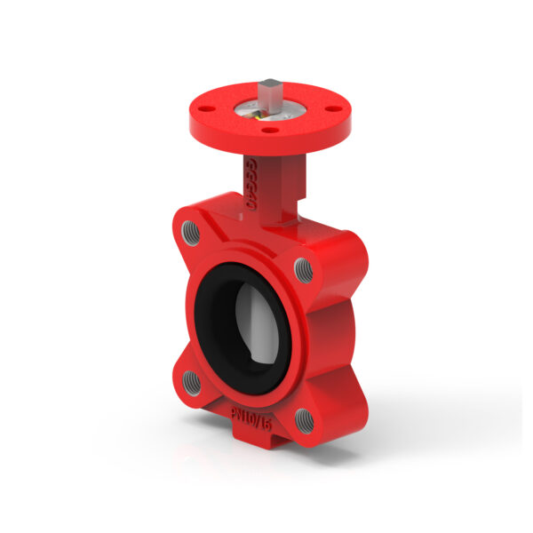 BF-VALVE DN65 PN10/PN16 LUG
