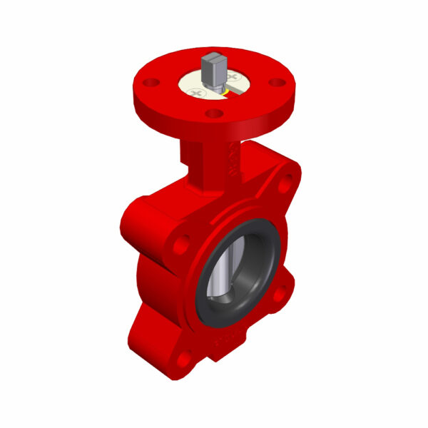 CONC. BF-VALVE DUPLEX DN50 16BAR PN10/16 LUG