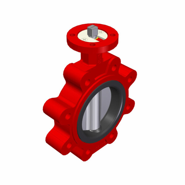CONC. BF-VALVE DUPLEX DN100 16BAR PN10/16 LUG