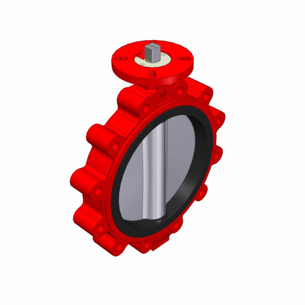 CONC. BF-VALVE DUPLEX DN250 10BAR PN10 LUG