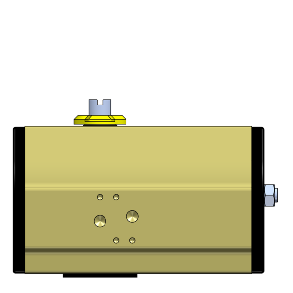 ACTUATOR RCT 230 DA A2 SS2346 AISI303