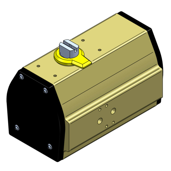 ACTUATOR RCT 230 DA A2 SS2346 AISI303