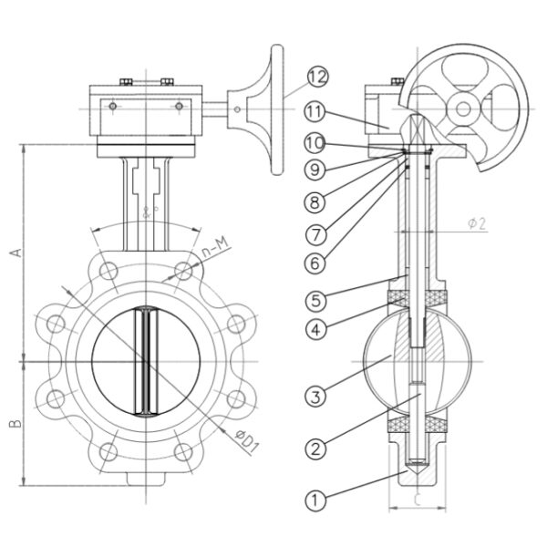 LT BUTTERFLY VALVE GGG40 DN250 LUG PN10