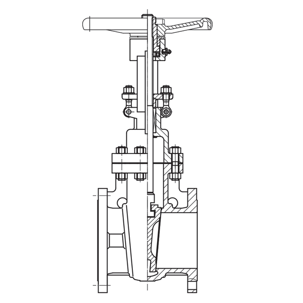 2 1/2"ANSI 150 GATE VALVE CF8M