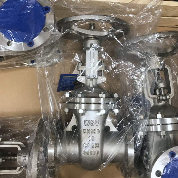 DN100 PN16 GATE VALVE CF8M